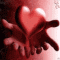 sandy_tran909