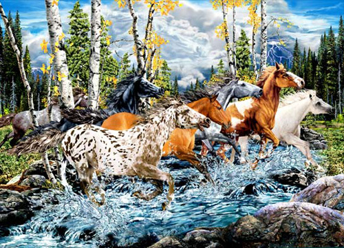 Count the Horses