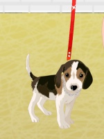 Dog-Walking Style